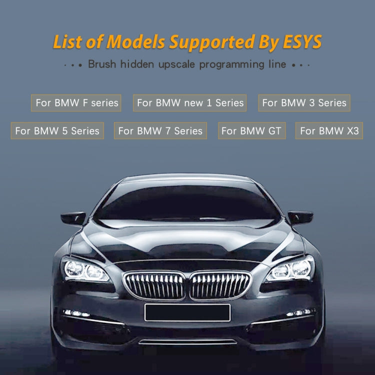 ESYS ENET for ICOM BMW F-Series with A Full Set of CD V50.3 Car Brush Hidden Cable, Car Brush Hidden Cable