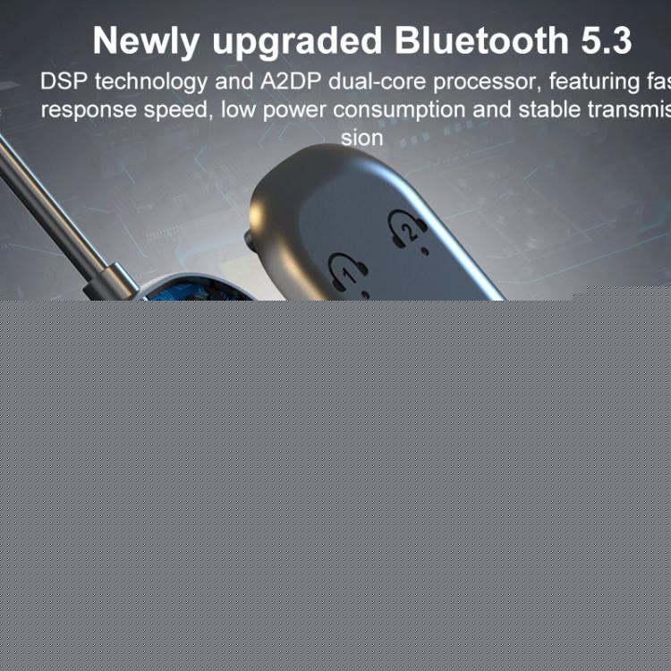 BR08T 2 in 1 Car Bluetooth AUX Receiver Transmitter Bluetooth Audio Adapter, BR08T