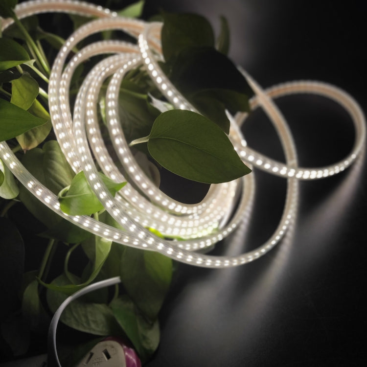 5m SMD 2835 600 LEDs LED Strip Light, AC 220V-240V, EU Plug, 5m