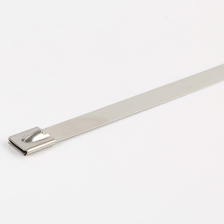 100 PCS 4.6x450mm Stainless Steel Metal Cable Ties Tie Zip Wrap Exhaust Heat Straps Induction Pipe, 4.6x450mm