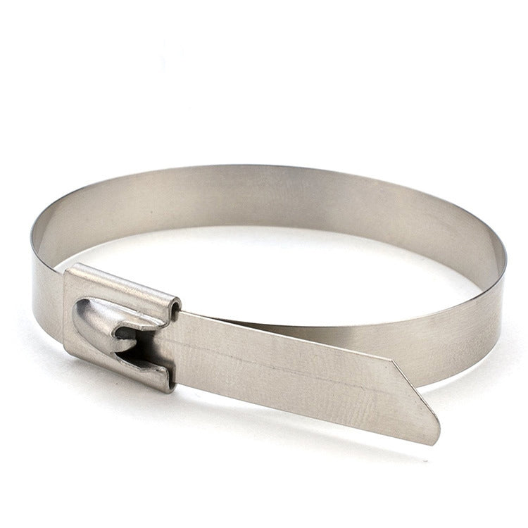 100 PCS 4.6x600mm Stainless Steel Metal Cable Ties Tie Zip Wrap Exhaust Heat Straps Induction Pipe, 4.6x600mm