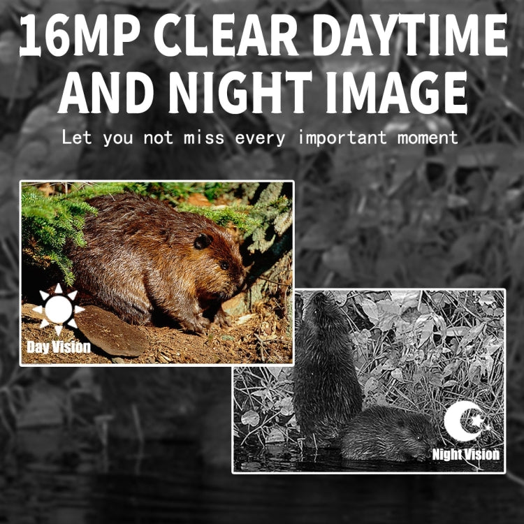 PR300 Outdoor Night Vision Hunting Tracking Camera 12MP Motion Activated, PR300
