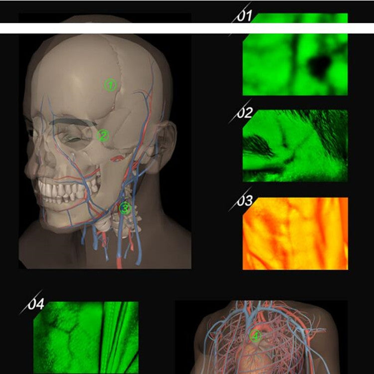 P2-1 Vascular Vein Display Inspection Camera