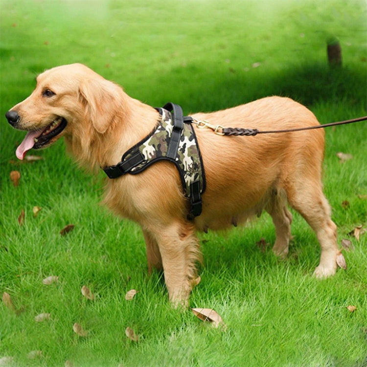 Adjustable Harness For Small Medium Large Dogs Pet Walking Hand Strap, M, L, XL