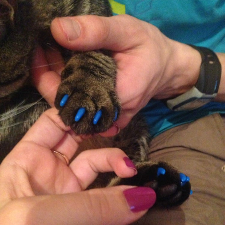 20 PCS Silicone Soft Cat Nail Caps / Cat Paw Claw / Pet Nail Protector/Cat Nail Cover, XS, S, L