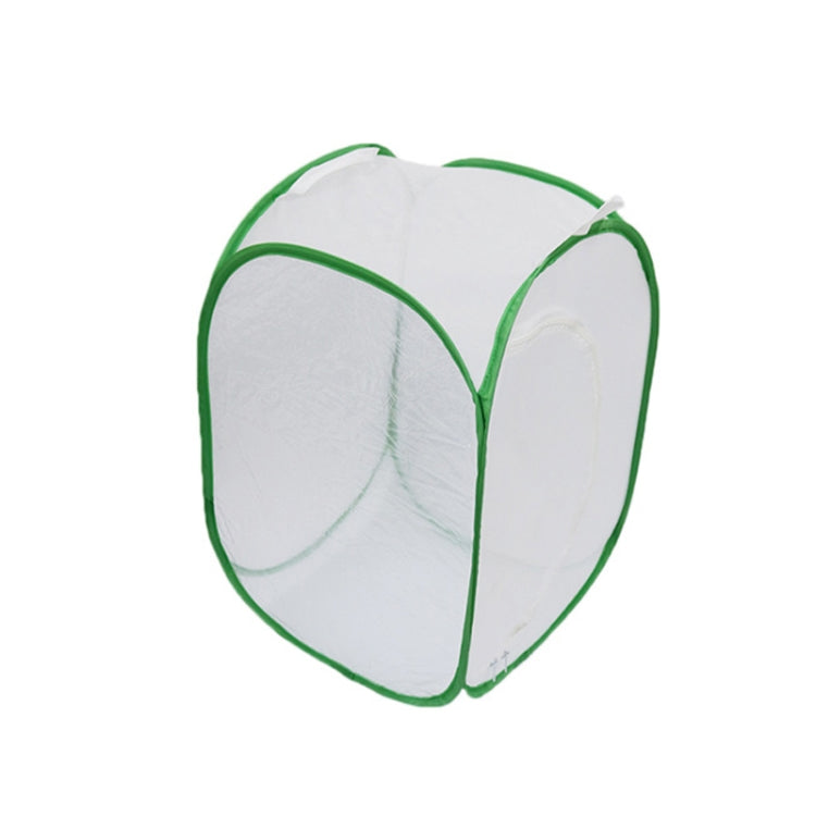 Folding Storage Butterfly Insect Cage Portable Observation Cage,Random Color Delivery, Insect Observation Cage