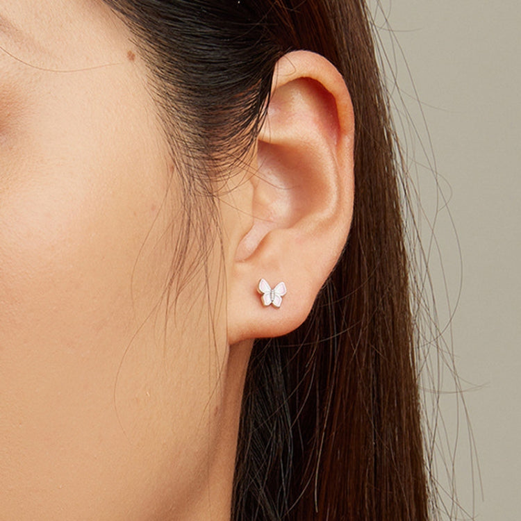SCE1495 Mini 925 Silver Butterfly Earrings White Gold Plated Earrings, SCE1495 Butterfly