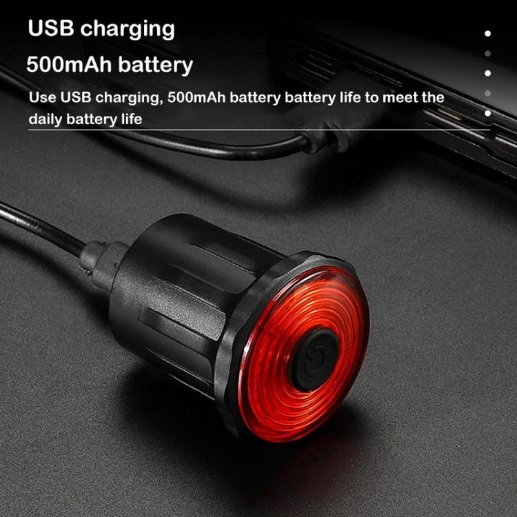 WEST BIKING Bicycle USB Charging Smart Brake Sensor Warning Tail Light, Cushion, Sit Tube