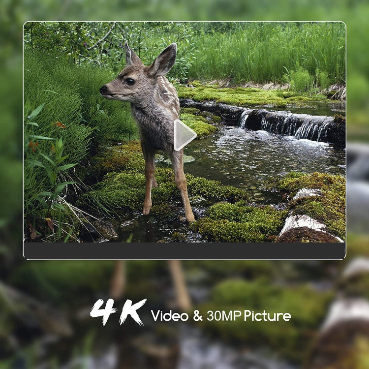 4K Outdoor Tracking Hunting Camera APP Remote Phone Control To View Photos / Video At Any Time, WiFi801Pro