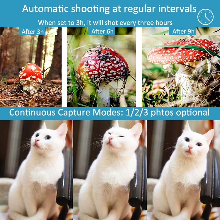 H982 4K Infrared Waterproof Induction Night Vision Monitor Animal HD Outdoor Cameras, H982