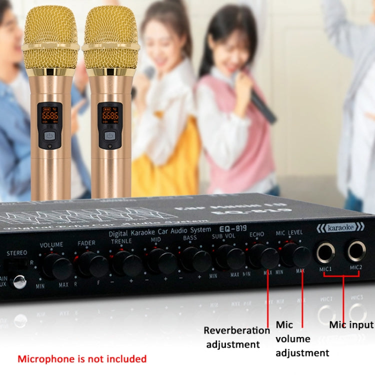 EQ-819 Car Audio Equalizer EQ Tuning Crossover Amplifier Supports Dual Microphone Input Reverberation Adjustment, EQ-819