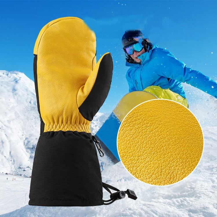 Winter Ski Snow Gloves for Men and Women Outdoor Sport Shovel Ski Gloves, Abalone Yellow, Five-finger Yellow, Abalone Black, Five-finger Black