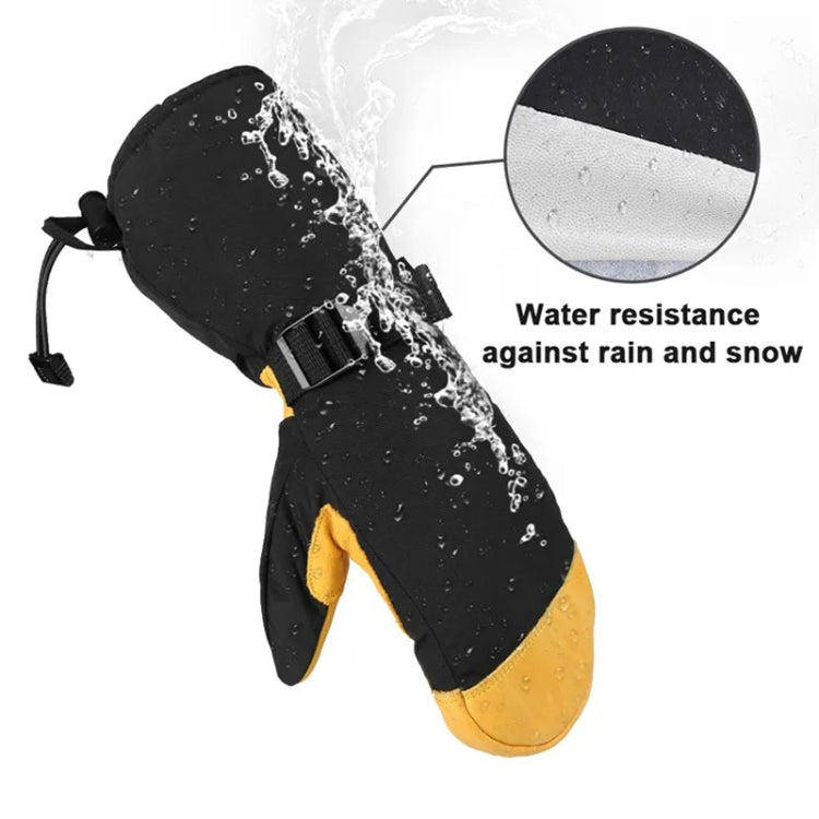 Winter Ski Snow Gloves for Men and Women Outdoor Sport Shovel Ski Gloves, Abalone Yellow, Five-finger Yellow, Abalone Black, Five-finger Black